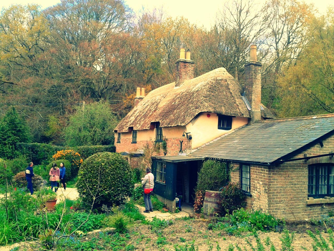 Thatched roof