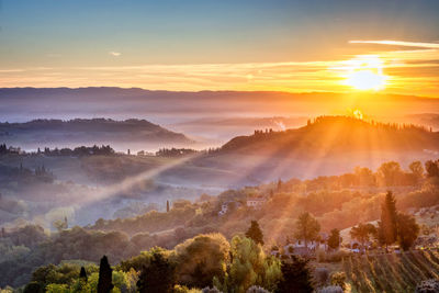 Panoramic view of trees on landscape against sky during sunset