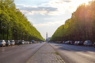 Cars parked on street at tiergarten