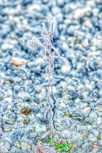 Full frame shot of spider web