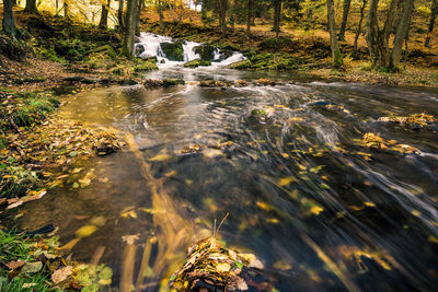 Scenic view of waterfall in forest