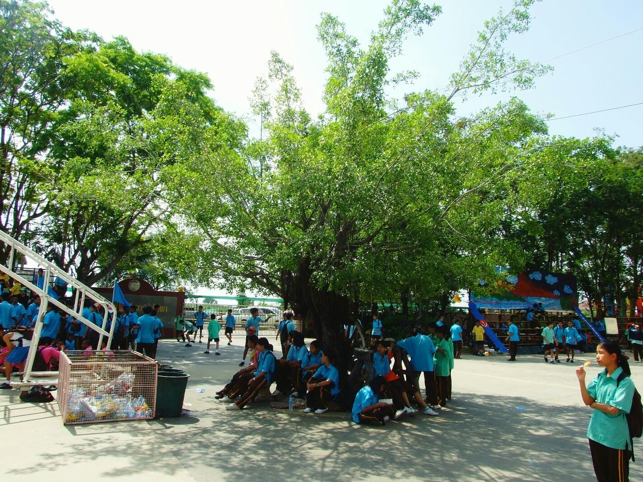 large group of people, tree, lifestyles, person, men, leisure activity, mixed age range, vacations, walking, enjoyment, clear sky, day, casual clothing, outdoors, sunlight, sitting, sky, relaxation, togetherness