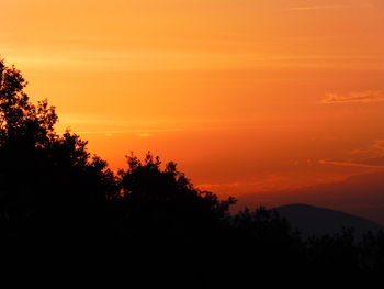 Silhouette trees on landscape against orange sky