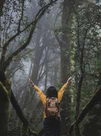 Rear view of woman standing by plants in forest