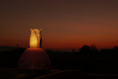 Cat looking away against sky during sunset