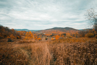 Scenic view of field against sky during autumn