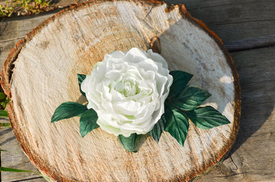 High angle view of rose on table