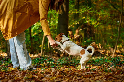 Portrait of woman with dogs on field