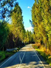 Road amidst trees against clear sky