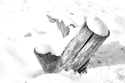 Close-up of snow on wood during winter