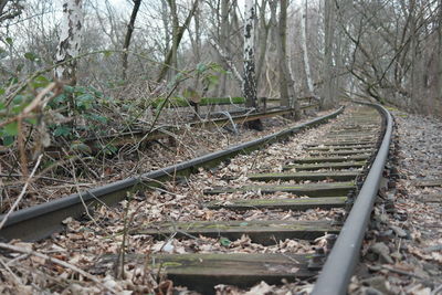 Railroad track in forest