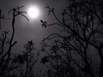 Low angle view of bare trees against sky at sunset