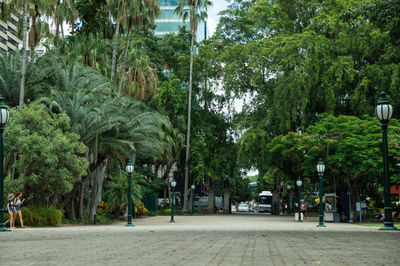 Footpath along trees