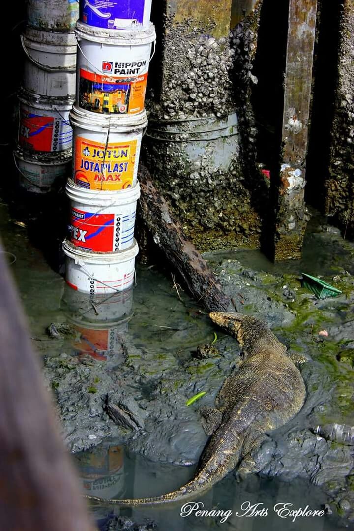 water, text, high angle view, old, reflection, outdoors, abandoned, day, no people, western script, rusty, transportation, damaged, close-up, weathered, run-down, obsolete, communication, deterioration, river