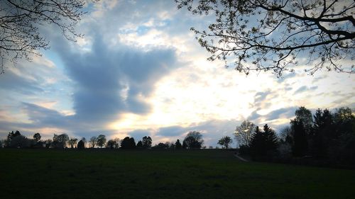 Trees against sky during sunset