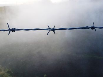 Close-up of barbed wire against sky