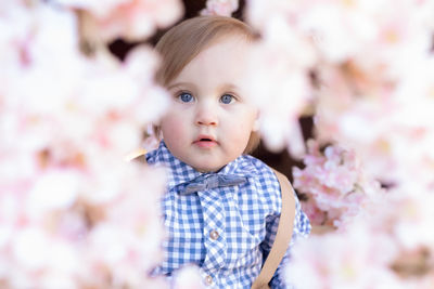 Portrait of cute baby girl on pink flowering plant