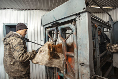 Farmer with scanner, interacts with cattle, rustic, technology, showcasing smart farming methods