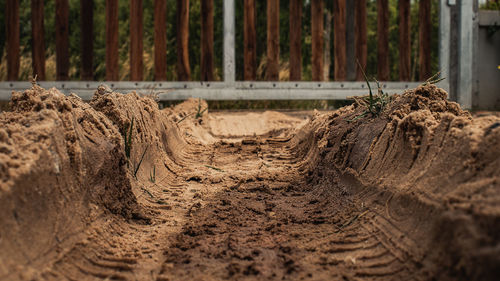 Surface level of dirt road