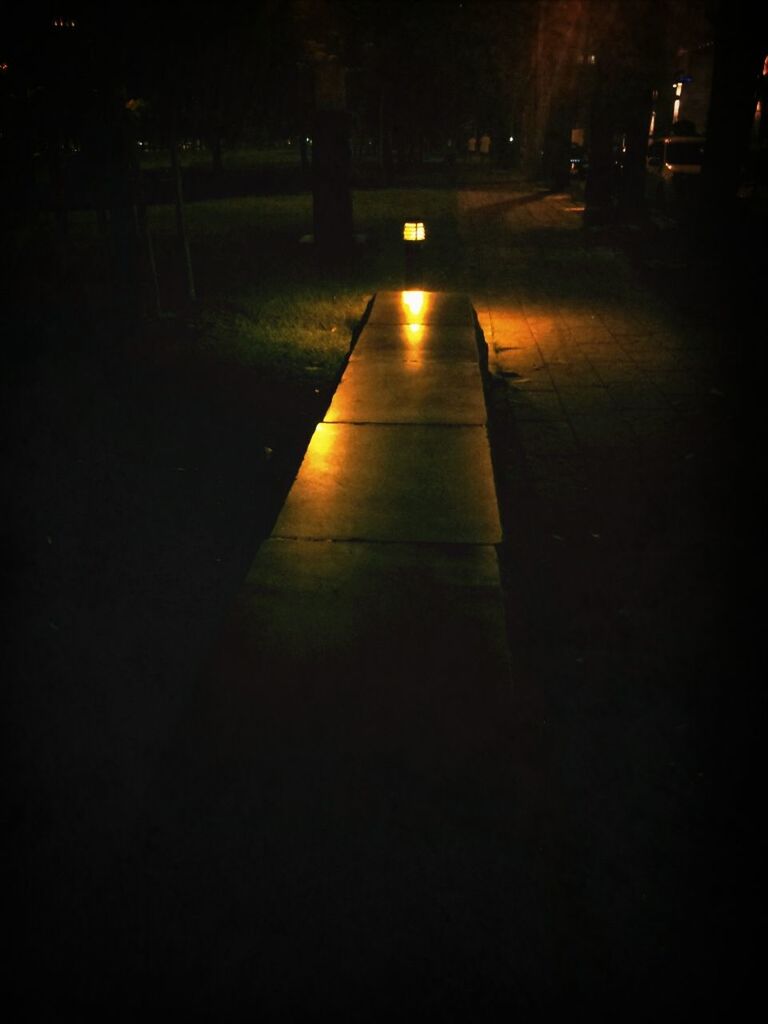 the way forward, night, illuminated, transportation, diminishing perspective, road, vanishing point, empty, dark, road marking, tree, street, street light, no people, absence, lighting equipment, outdoors, light - natural phenomenon, long, empty road