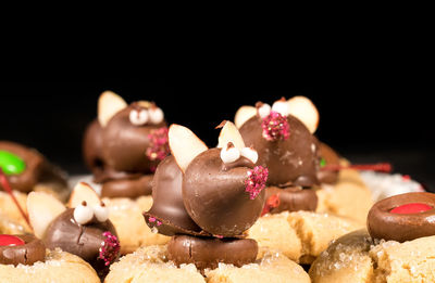 Close-up of dessert in rat shape against black background