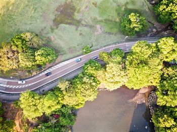 High angle view of road amidst trees in city