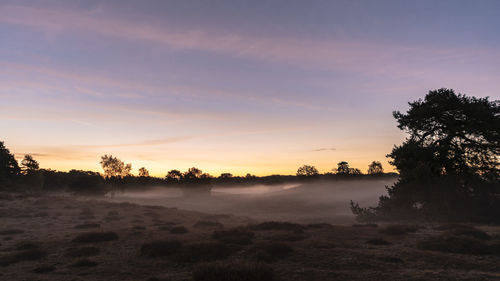 Scenic view of trees against sky during sunset
