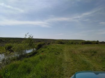 Scenic view of field against sky