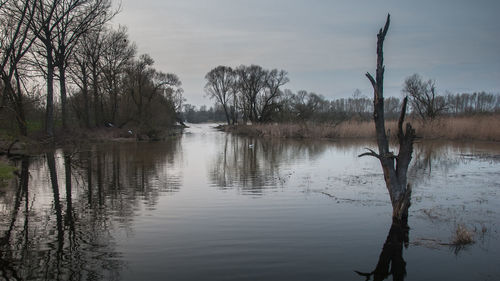 Bare trees by lake against sky