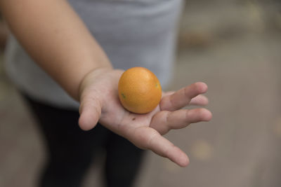 Close-up of hand holding orange