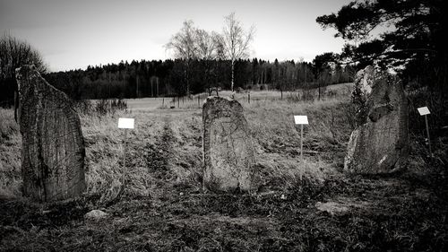 Old ruin on field