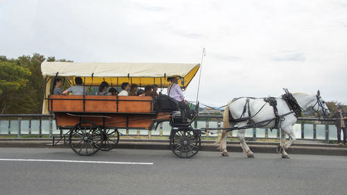Horse cart on road against sky