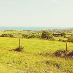 Scenic view of grassy field against sky