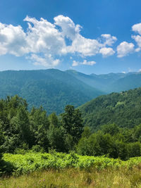 Scenic view of landscape against sky