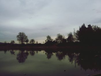 Reflection of trees in calm lake