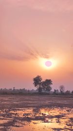 Scenic view of field against sky during sunset