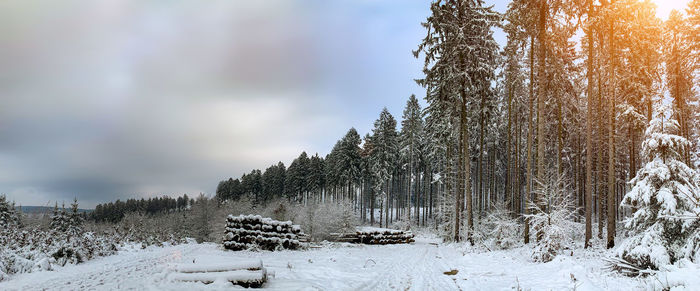 Snow covered land against sky