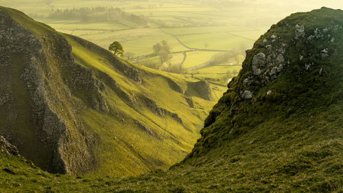 Winnats pass lone tree landscape colour