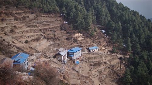 High angle view of trees