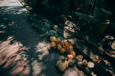 High angle view of fruits on plant for sale