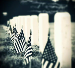 Close-up of flags against blurred background