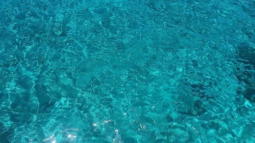 Full frame shot of swimming pool