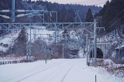 Snow covered bridge amidst trees and buildings during winter