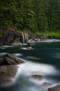 Hiking the juan de fuca trail near sambrio beach, bc, canada