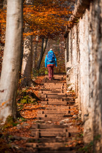 Rear view of backpack woman walking on steps in forest during autumn