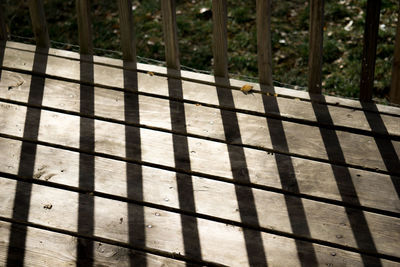Close-up of bird on metal