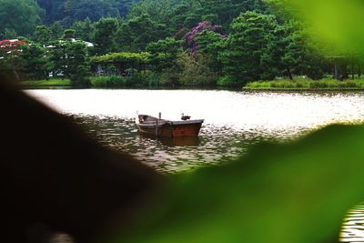 Boat moored on lake by trees