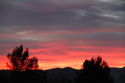 Silhouette trees against sky at sunset