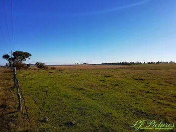 Scenic view of field against clear blue sky