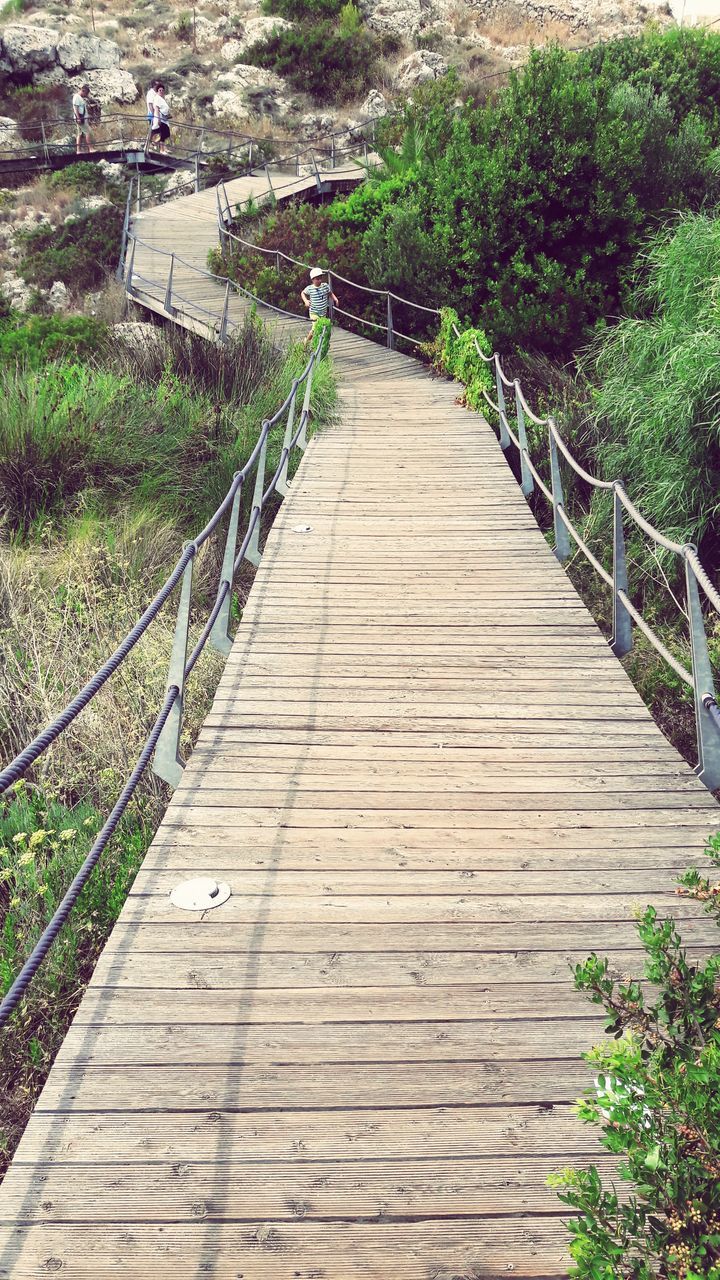 FOOTBRIDGE AMIDST TREES